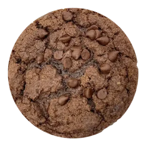 Mouthwatering chocolate cookie with chocolate chips