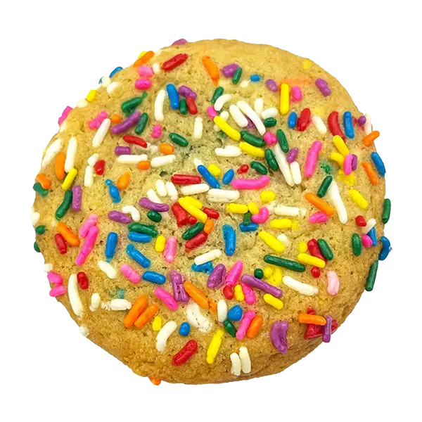 Birthday cookie topped with colorful rainbow sprinkles, funfetti style.