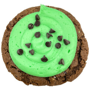 Mint Chocolate-Chocolate Chip