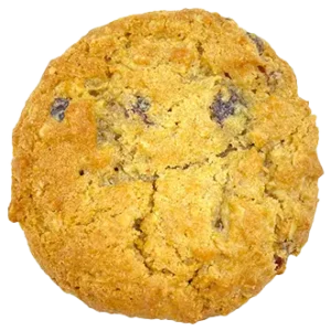 Oatmeal Raisin
